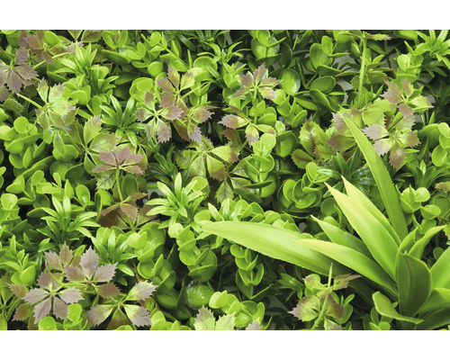 Perete artificial de plante cu diverse frunze verzi