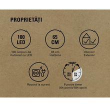 Proprietăți: 100 LED-uri, 65 centimetri, interior și exterior, racordare la curent, funcție timer șase ore pornit și 18 ore oprit