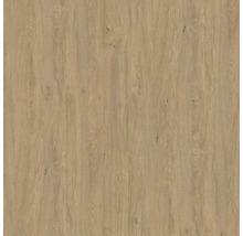 Decor din lemn pentru amenajări interioare