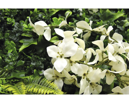 Perete artificial de plante cu flori albe și diferite nuanțe de verde