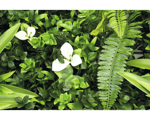 Perete artificial cu plante verzi, cu flori albe și ferigi