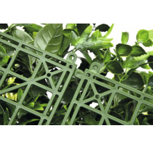 Detaliu al unui perete artificial de plante cu structură de fixare