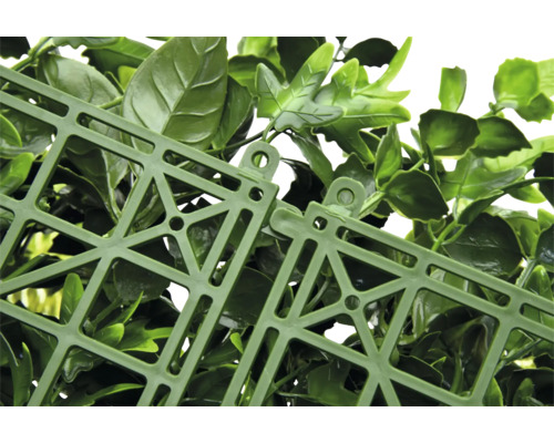 Detaliu al unui perete artificial de plante cu structură de fixare