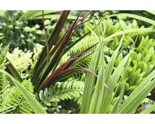 Prim-plan cu diverse plante artificiale