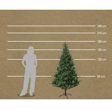 Comparație dimensională a unui brad artificial cu o femeie și indicații de înălțime în centimetri