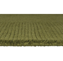 Prim-plan al unui covor verde