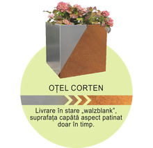 Jardinieră din oțel și oțel corten cu plante cu flori