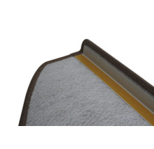 Prim-plan al unei trepte cu mochetă