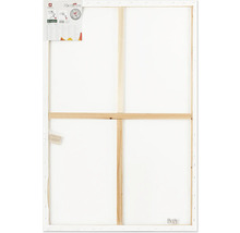 Pânză goală, 70x100 cm, șasiu orb