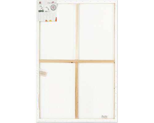 Pânză goală, 70x100 cm, șasiu orb