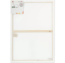 Pânză de pictură cu dimensiunile 60x80 cm