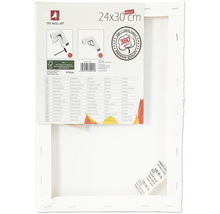 Pânză de pictură cu dimensiunile de 24 pe 30 centimetri