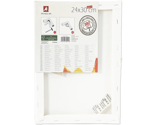 Pânză de pictură cu dimensiunile de 24 pe 30 centimetri