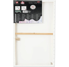 Șasiu pânză cu dimensiunile 50 x 100 cm