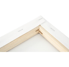 Colț de șasiu cu pânză și capse