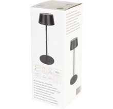 Ambalaj lampă de masă cu LED, solară, cu acumulator