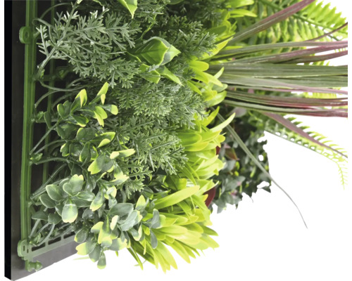 Perete vegetal artificial cu diverse plante verzi