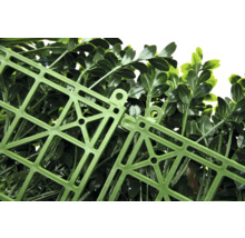 Imagine detaliată a unei plăci artificiale de plante cu structură de grilaj din plastic