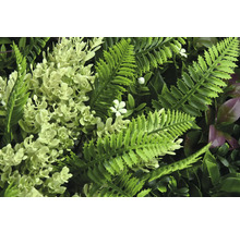 Perete vegetal artificial cu ferigă și flori