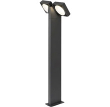 Lumină de exterior cu două capete de iluminat