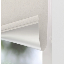 Prim-plan al unei role pe fereastră