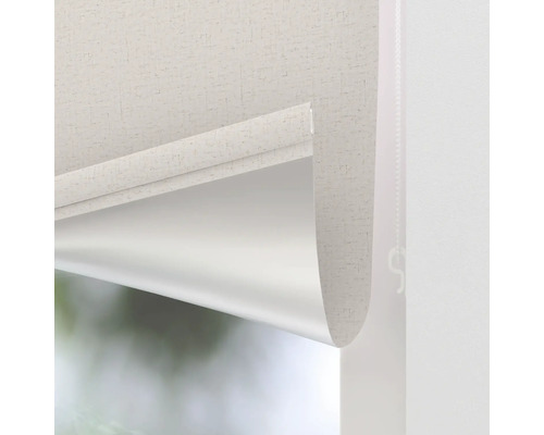 Prim-plan al unei role pe fereastră