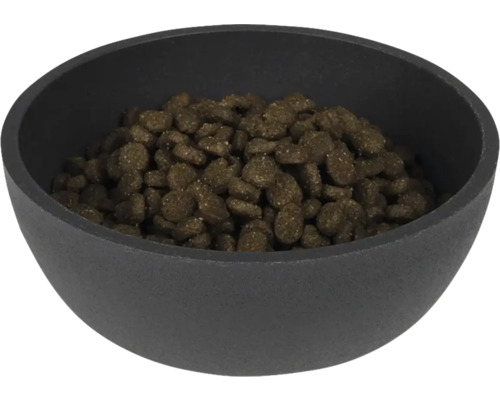 Bol negru umplut cu hrană pentru animale