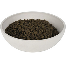 Hrană uscată pentru pisici într-un castron