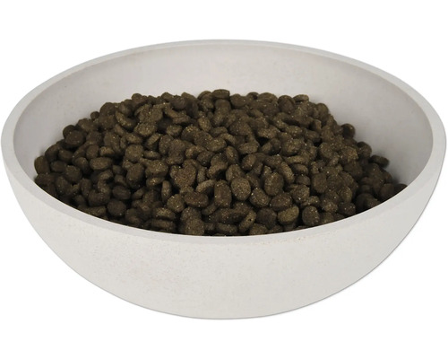 Hrană uscată pentru pisici într-un castron