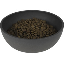 Bol cu hrană umplută cu hrană pentru câini