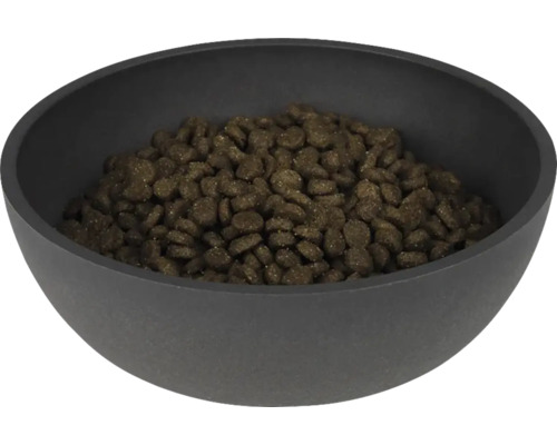 Bol cu hrană umplută cu hrană pentru câini