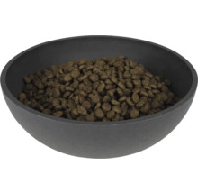 Mâncare pentru câini într-un castron