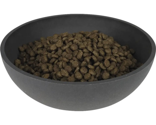 Mâncare pentru câini într-un castron