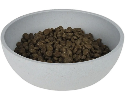 Castron pentru hrană umplut cu hrană uscată