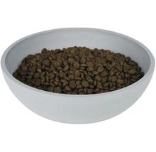 Castron cu hrană uscată pentru câini