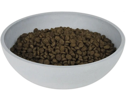 Castron cu hrană uscată pentru câini