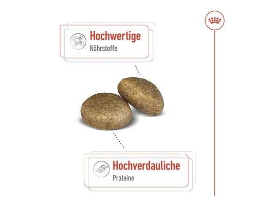 Două crochete de hrană pentru câini cu informații despre nutrienți și proteine