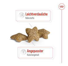 Hrană pentru câini cu substanțe nutritive ușor de digerat și conținut caloric adaptat