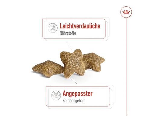 Hrană pentru câini cu substanțe nutritive ușor de digerat și conținut caloric adaptat