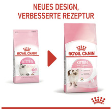 Comparație hrană uscată Royal Canin Kitten, design nou, rețetă îmbunătățită