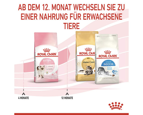Trei pachete de hrană pentru pisici Royal Canin pentru pisoi, Maine Coon și pisici de interior
