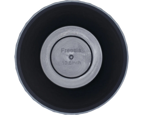 Ghiveci de flori Freesia, 10,5 inchi