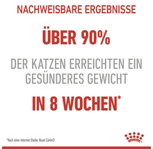 Rezultate dovedite: Peste 90% dintre pisici au atins o greutate mai sănătoasă în opt săptămâni