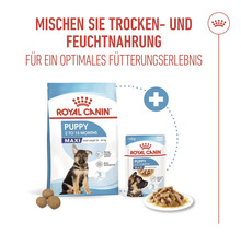 Royal Canin Puppy Maxi hrană uscată și umedă pentru căței