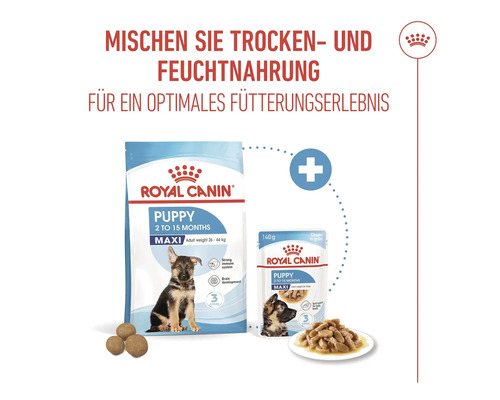 Royal Canin Puppy Maxi hrană uscată și umedă pentru căței