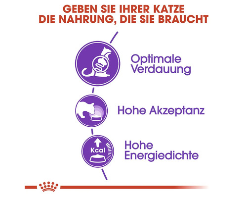 Avantaje hrană pentru pisici: Digestie optimă, acceptare ridicată, densitate energetică ridicată