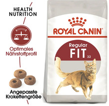 Royal Canin Regular Fit 32 hrană pentru pisici