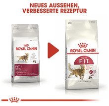 Două pachete de hrană pentru pisici adulte Royal Canin Fit 32
