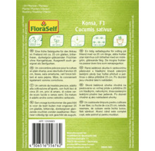 Pachet de semințe de castraveți Konsa F1