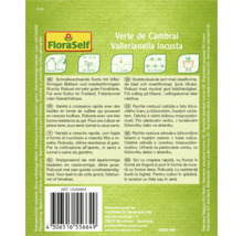 Ambalaj de salată verde 'Verte de Cambrai' de la marca FloraSelf cu informații despre caracteristici și cultivare